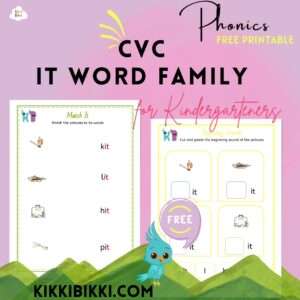 CVC IT word family - kindergarten worksheets