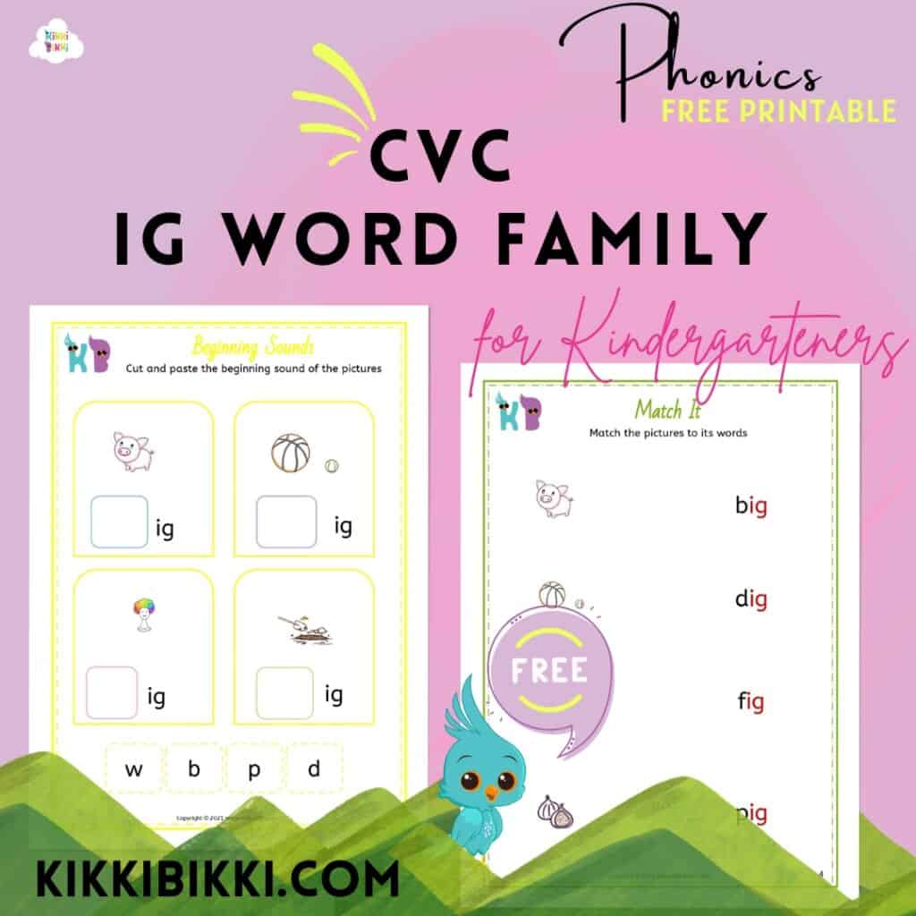 CVC Short I -ig Family Words Worksheets