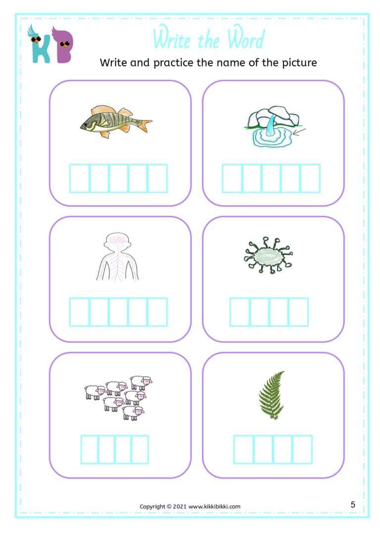 Phonics Flashcards for Kindergarten